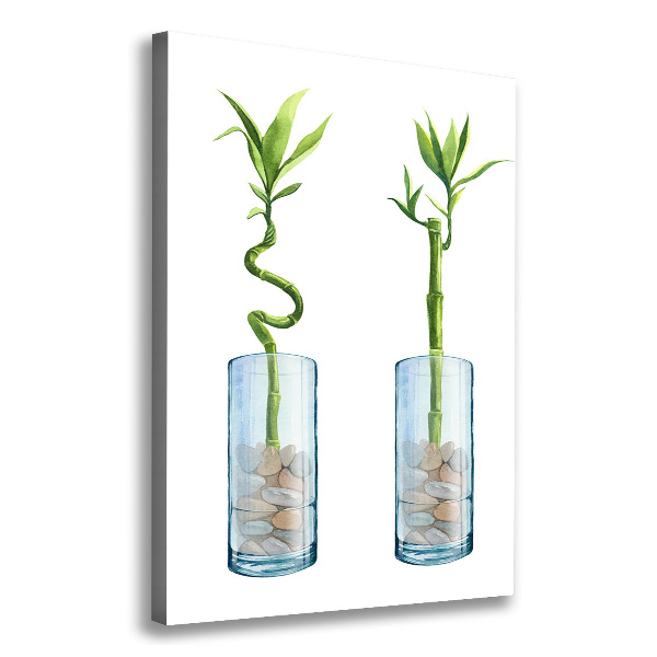 Verticale canvasfoto Bamboe in een pot