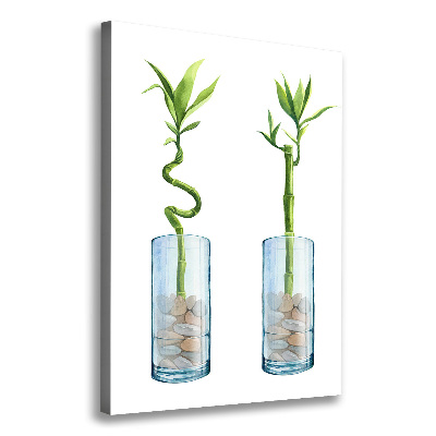 Verticale canvasfoto Bamboe in een pot