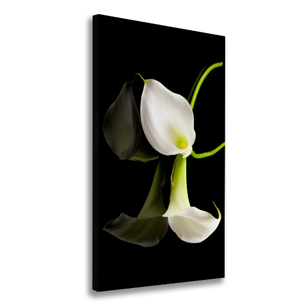 Verticaal canvasschilderij Witte calla