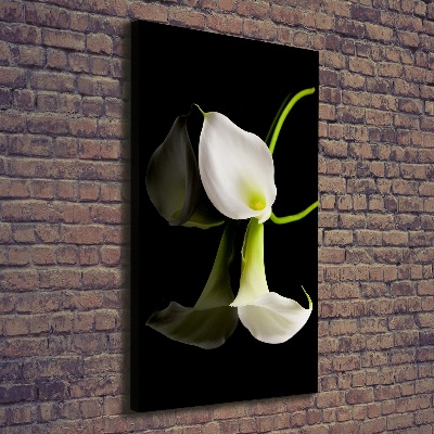 Verticaal canvasschilderij Witte calla