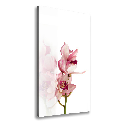 Verticale foto op canvas Roze orchidee