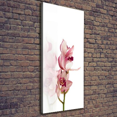 Verticale foto op canvas Roze orchidee