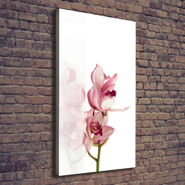 Verticale foto op canvas Roze orchidee