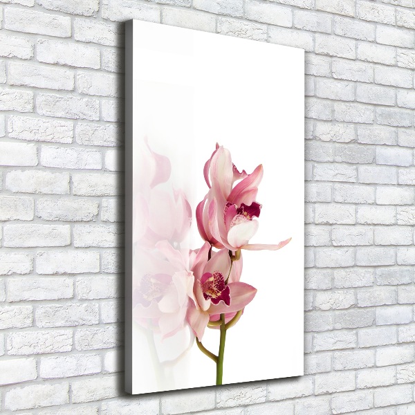 Verticale foto op canvas Roze orchidee