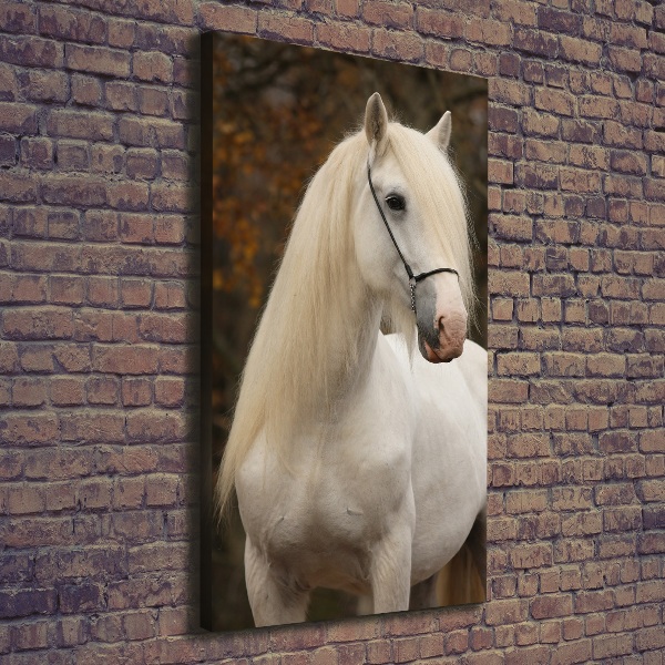 Verticaal schilderij op canvas Wit paard