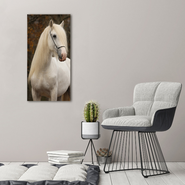 Verticaal schilderij op canvas Wit paard