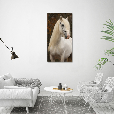 Verticaal schilderij op canvas Wit paard