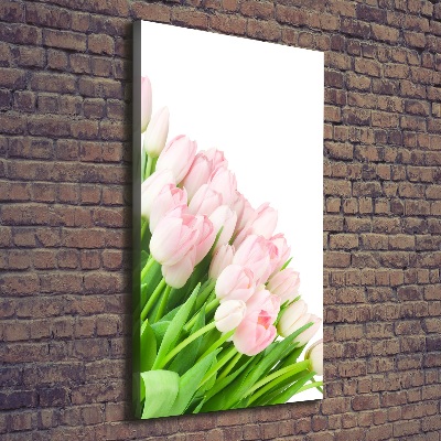 Verticale canvasfoto Roze tulpen