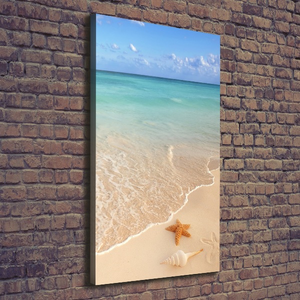 Verticale foto op canvas Zeesterren op het strand