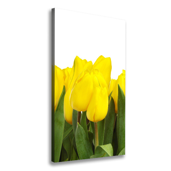 Verticale foto op canvas Gele tulpen