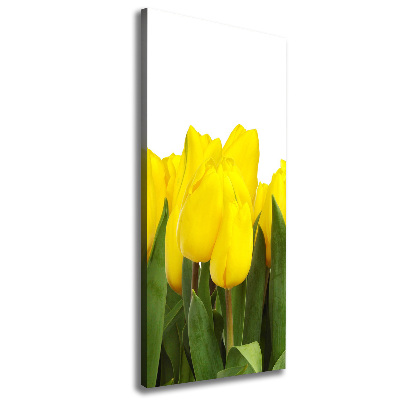 Verticale foto op canvas Gele tulpen