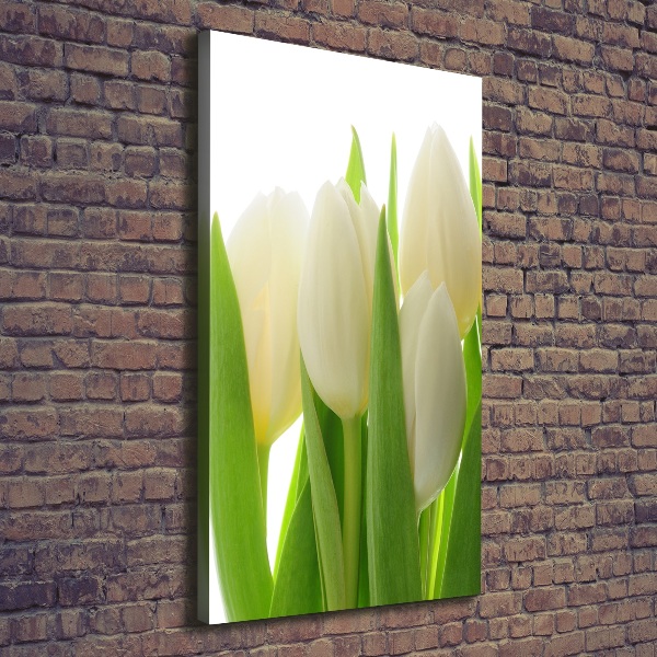 Verticale canvasfoto Witte tulpen