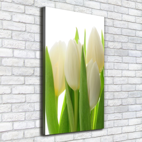 Verticale canvasfoto Witte tulpen