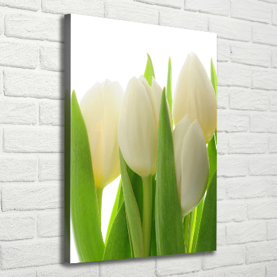 Verticale canvasfoto Witte tulpen