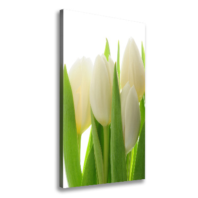 Verticale canvasfoto Witte tulpen