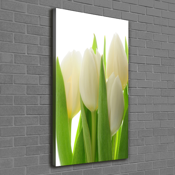 Verticale canvasfoto Witte tulpen