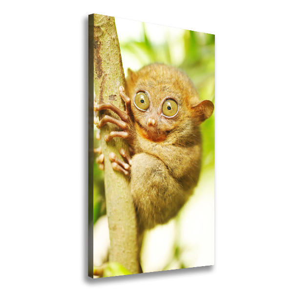 Verticaal canvasschilderij Spooktarsier