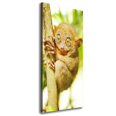 Verticaal canvasschilderij Spooktarsier