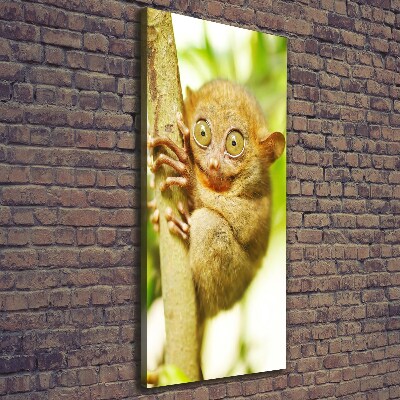 Verticaal canvasschilderij Spooktarsier