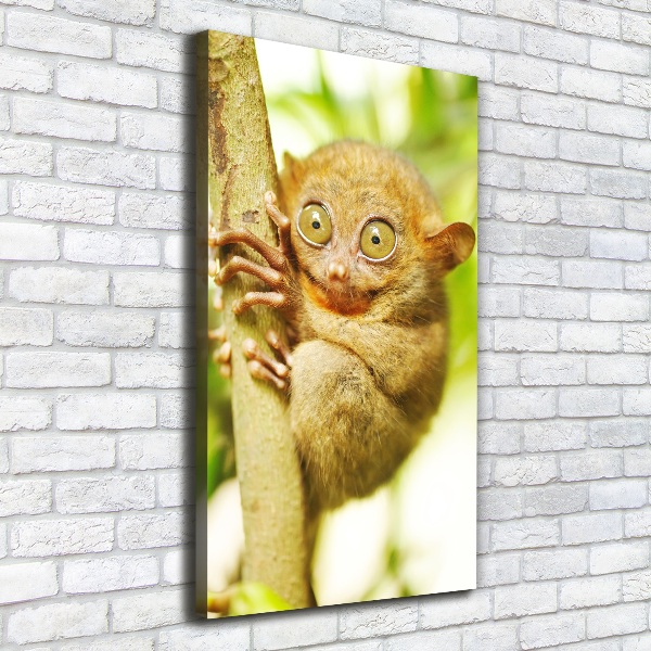 Verticaal canvasschilderij Spooktarsier