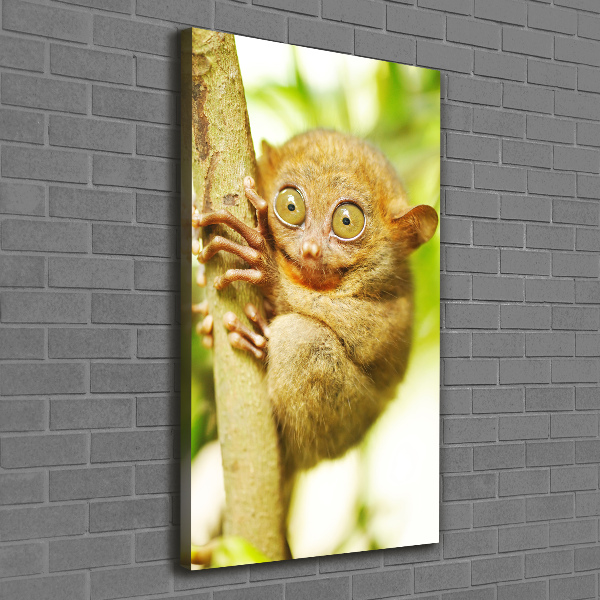 Verticaal canvasschilderij Spooktarsier