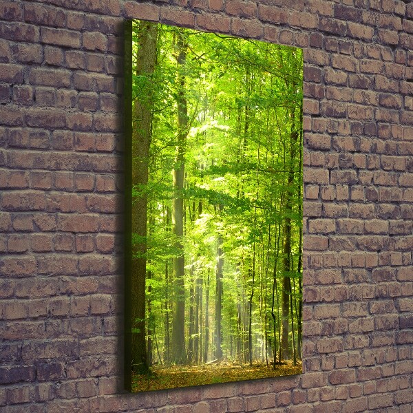 Verticaal canvasschilderij Beukenbos