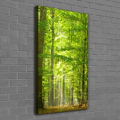 Verticaal canvasschilderij Beukenbos