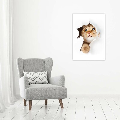 Verticale foto op canvas Kat