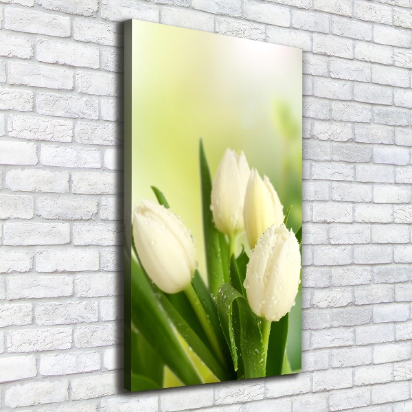 Verticaal canvasschilderij Witte tulpen
