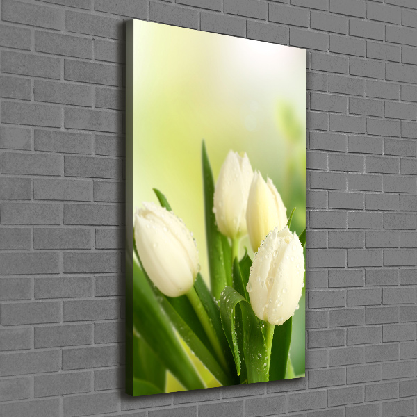 Verticaal canvasschilderij Witte tulpen