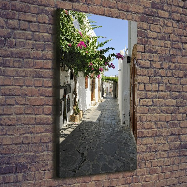 Verticale foto op canvas Een charmant pad