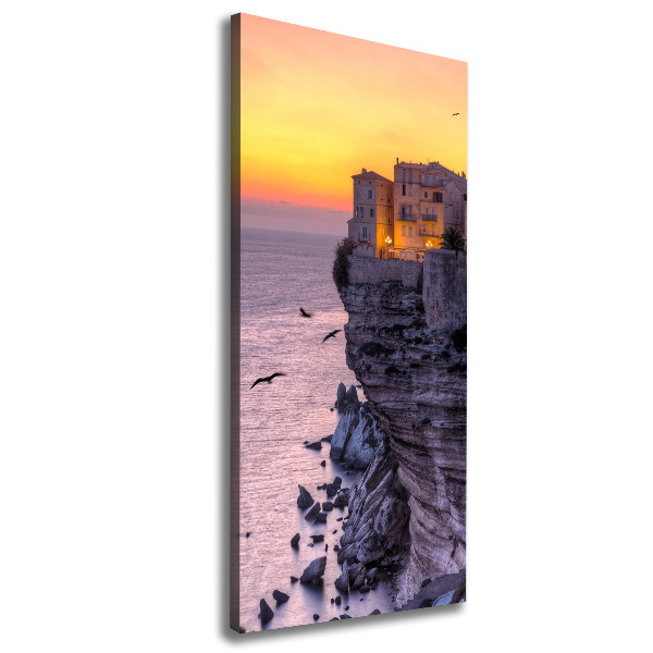 Verticaal schilderij op canvas Klifhuizen