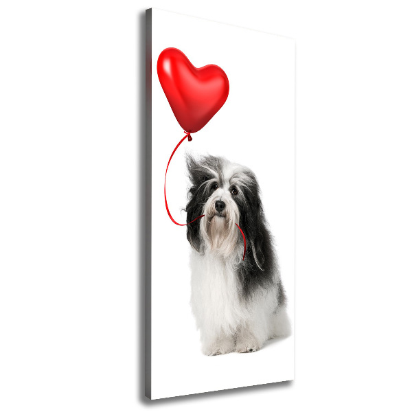 Verticaal canvasschilderij Havanese met een ballon