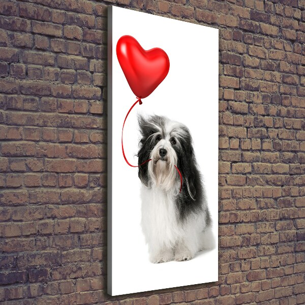 Verticaal canvasschilderij Havanese met een ballon