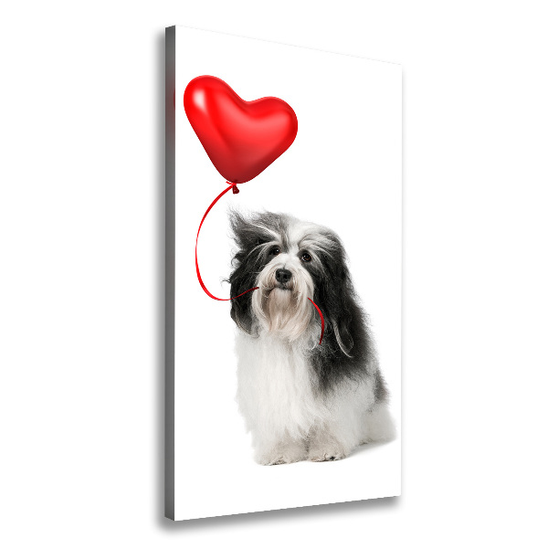 Verticaal canvasschilderij Havanese met een ballon