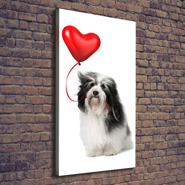 Verticaal canvasschilderij Havanese met een ballon