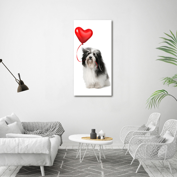 Verticaal canvasschilderij Havanese met een ballon