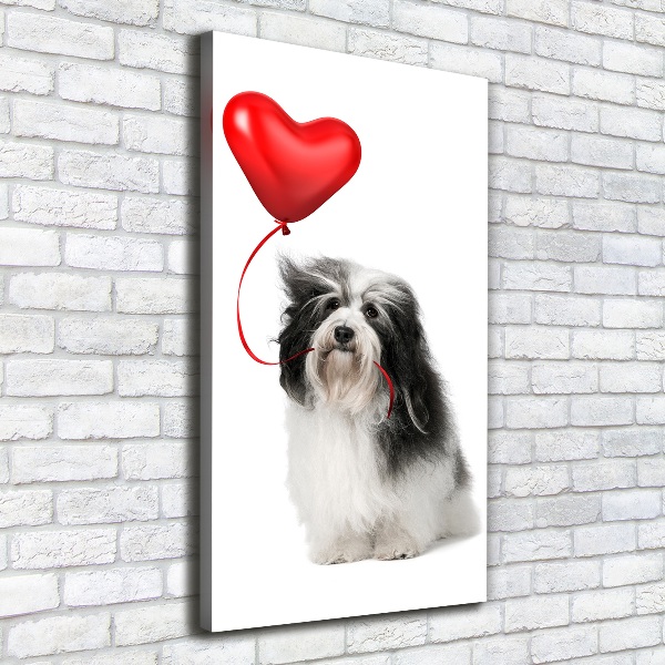 Verticaal canvasschilderij Havanese met een ballon
