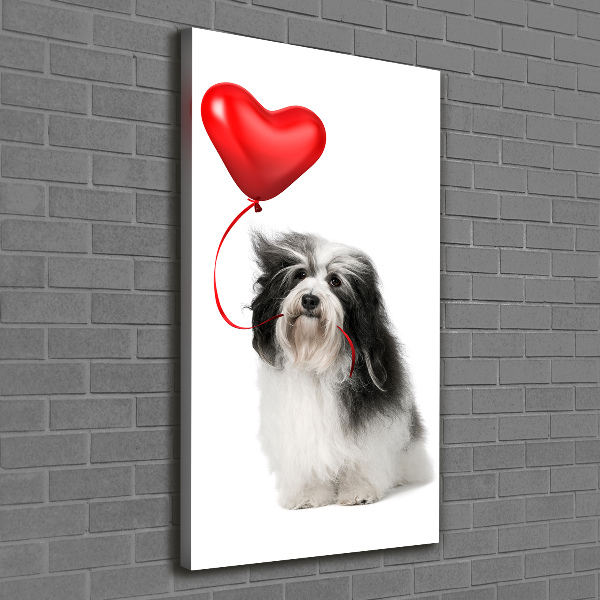 Verticaal canvasschilderij Havanese met een ballon