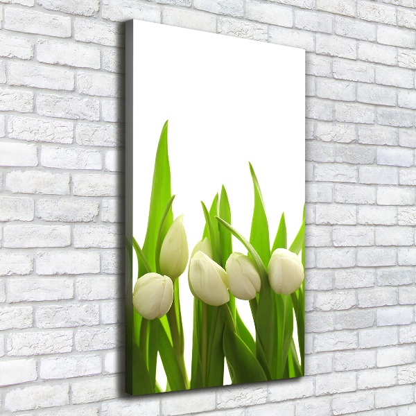 Verticaal canvasschilderij Witte tulpen