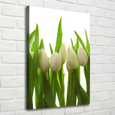Verticaal schilderij op canvas Witte tulpen