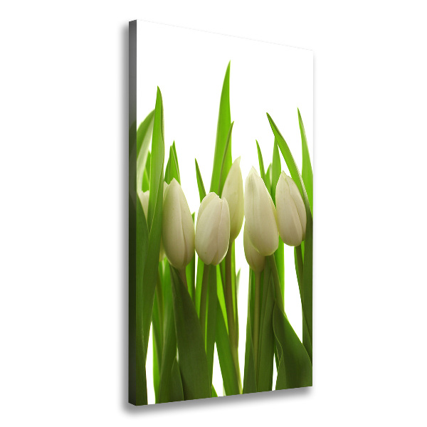 Verticaal schilderij op canvas Witte tulpen