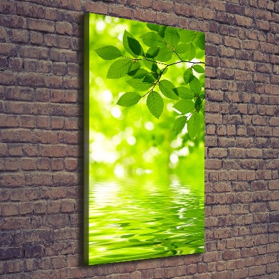 Verticale foto op canvas Groene bladeren