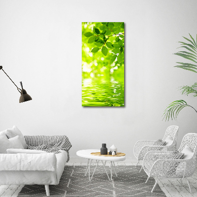 Verticale foto op canvas Groene bladeren
