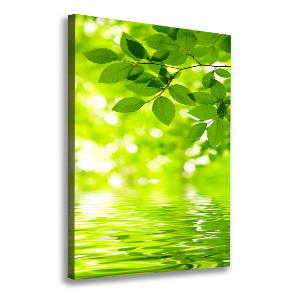 Verticale foto op canvas Groene bladeren