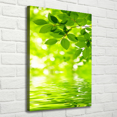 Verticale foto op canvas Groene bladeren