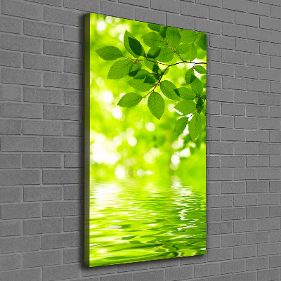 Verticale foto op canvas Groene bladeren