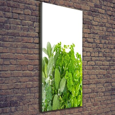 Verticaal schilderij op canvas Kruiden