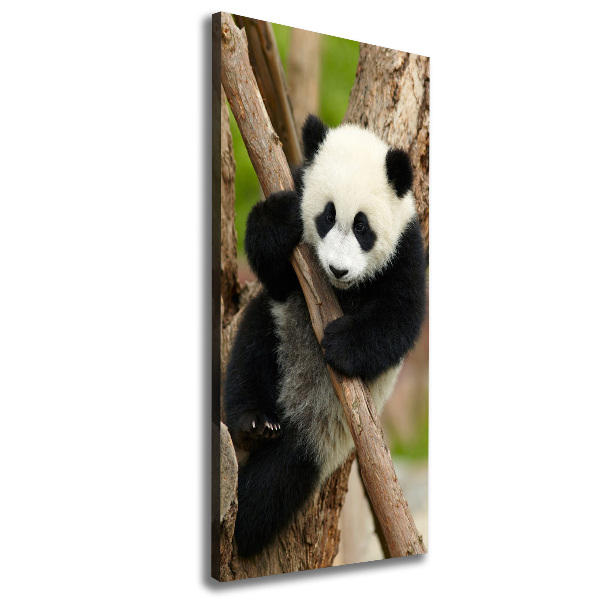 Verticale foto op canvas Panda in een boom