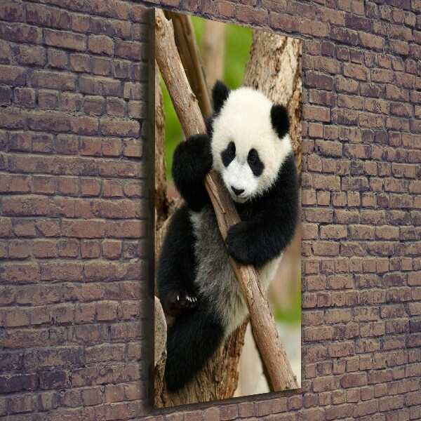 Verticale foto op canvas Panda in een boom